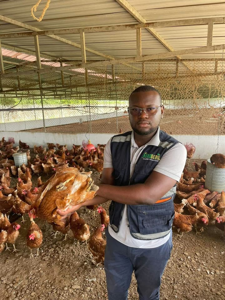 Avicultura do Zero ao Lucro