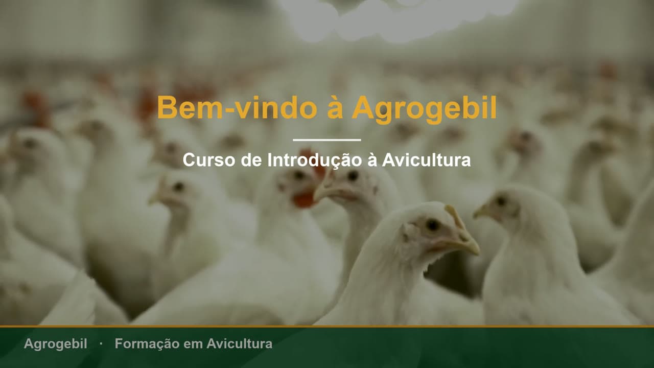 Boas-vindas e visão geral do curso